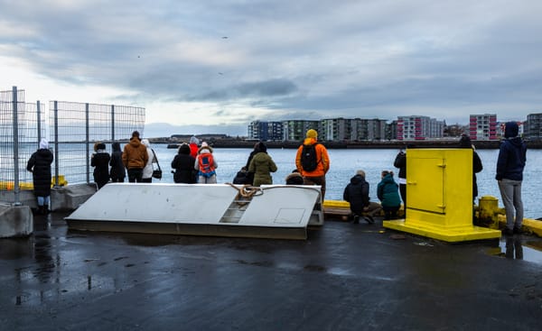 An Elusive Encounter at the Port of Hafnarfjörður