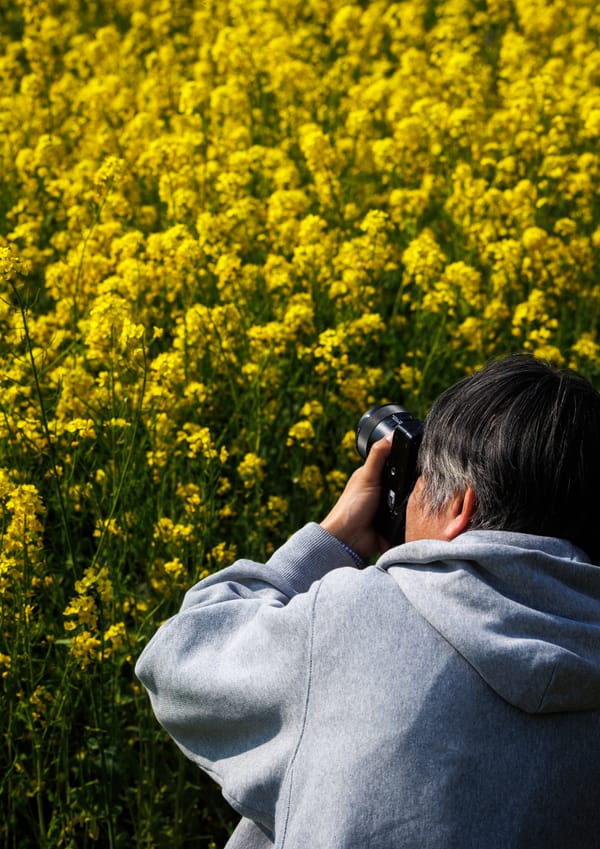 Why I Walk and Bring a Camera